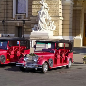 An hour tour of Odessa and a visit to the Opera House